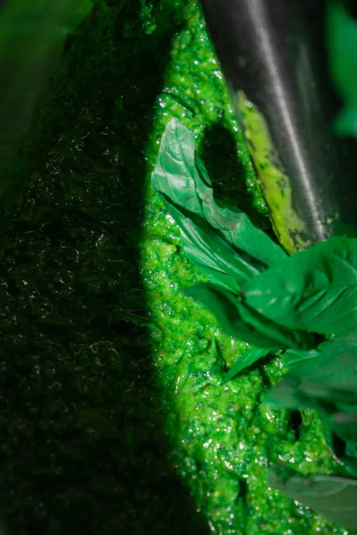 Pesto casero en el obrador