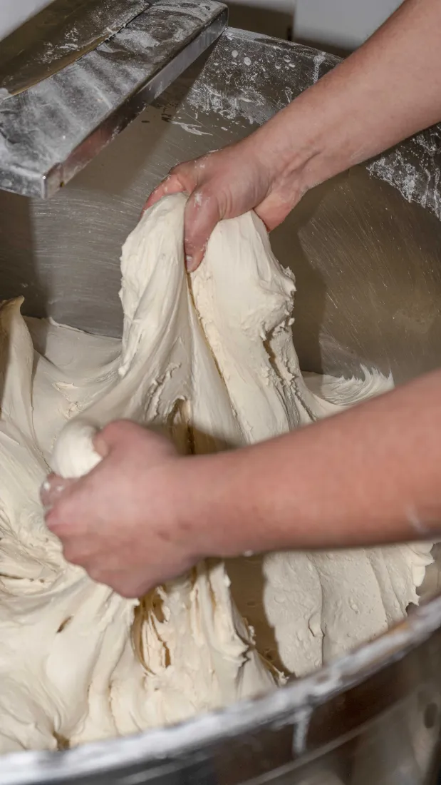 Masa fermentada 72 horas